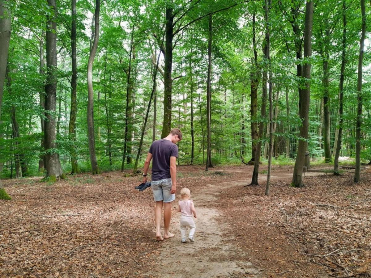 Medernach Nice Tent Lodge On A Campsite, Bordering The Forest, Luxembourg At 27 Km מראה חיצוני תמונה