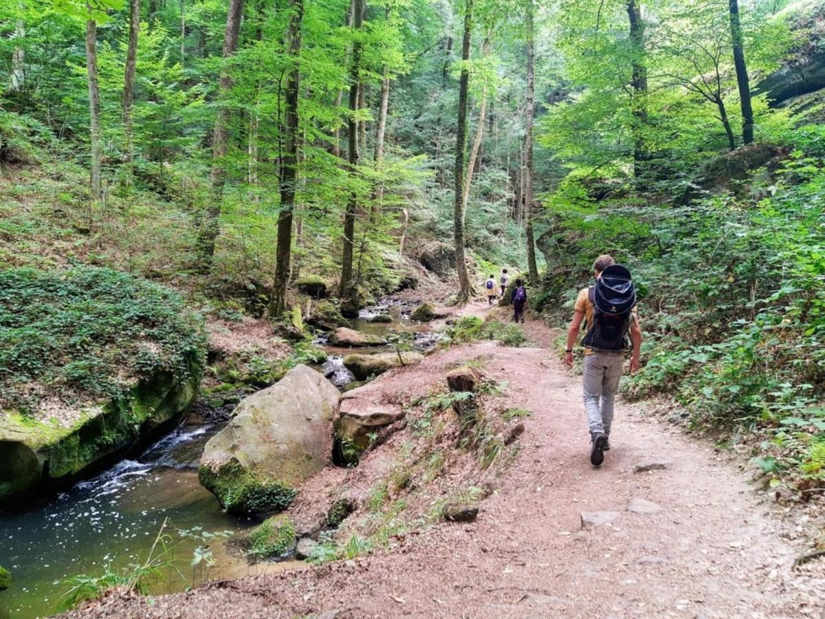 Medernach Nice Tent Lodge On A Campsite, Bordering The Forest, Luxembourg At 27 Km מראה חיצוני תמונה